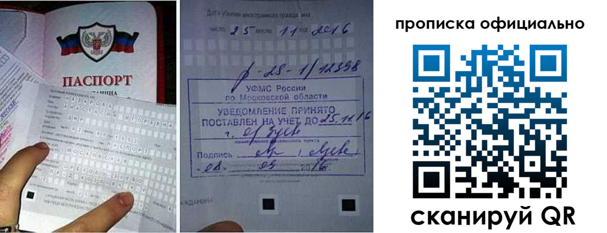 прописка паспорт в Ипатово